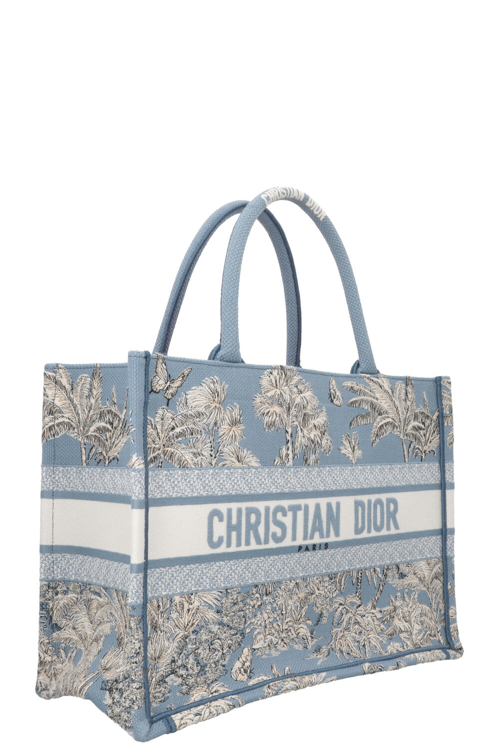CHRISTIAN DIOR 2025 Dioriviera Book Tote Medium Celestial Blue