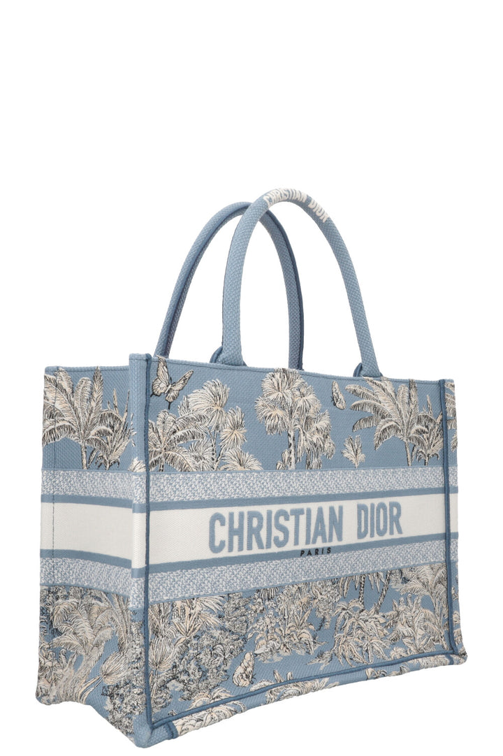 CHRISTIAN DIOR 2025 Dioriviera Book Tote Medium Celestial Blue