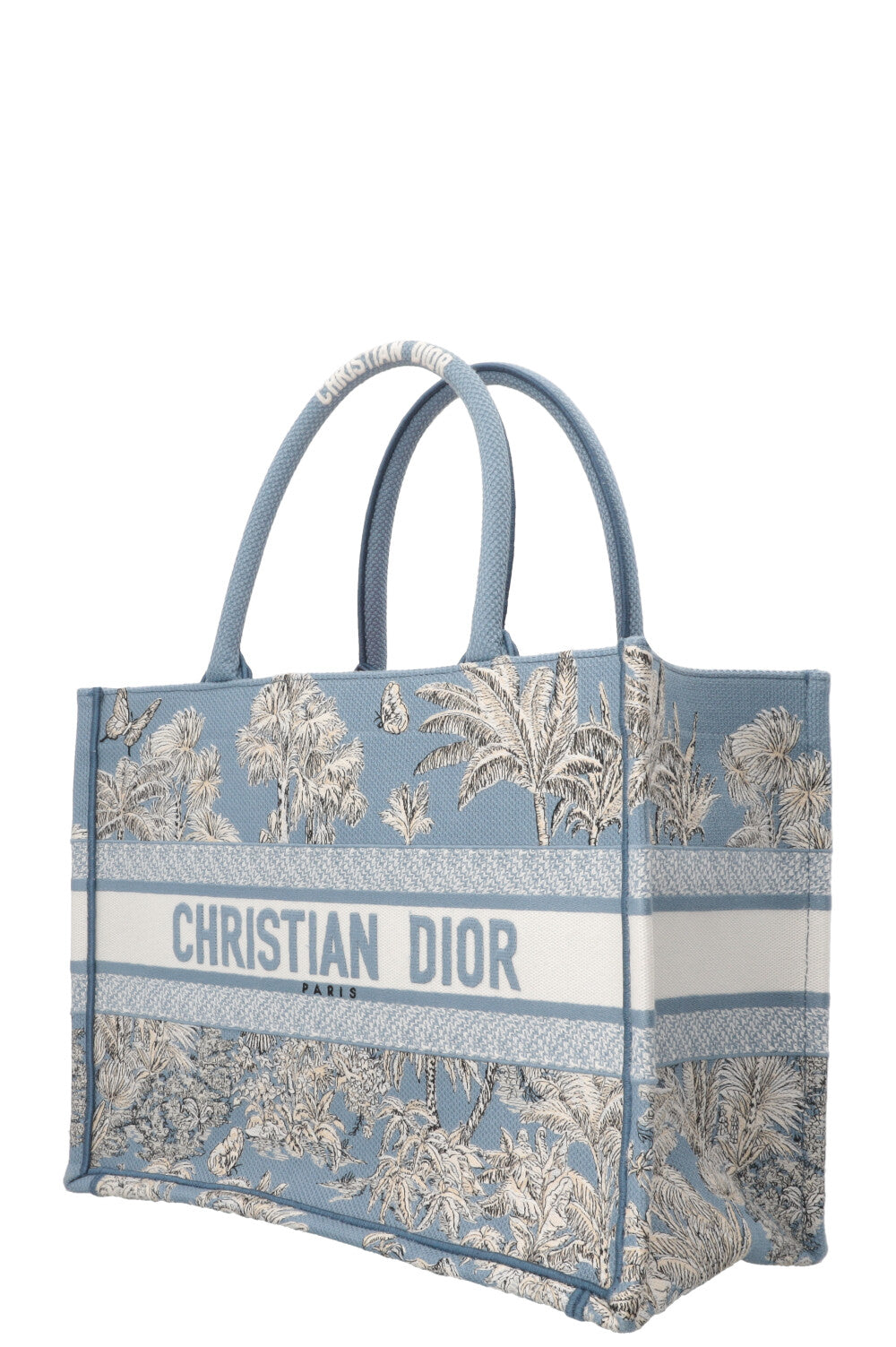CHRISTIAN DIOR 2025 Dioriviera Book Tote Medium Celestial Blue