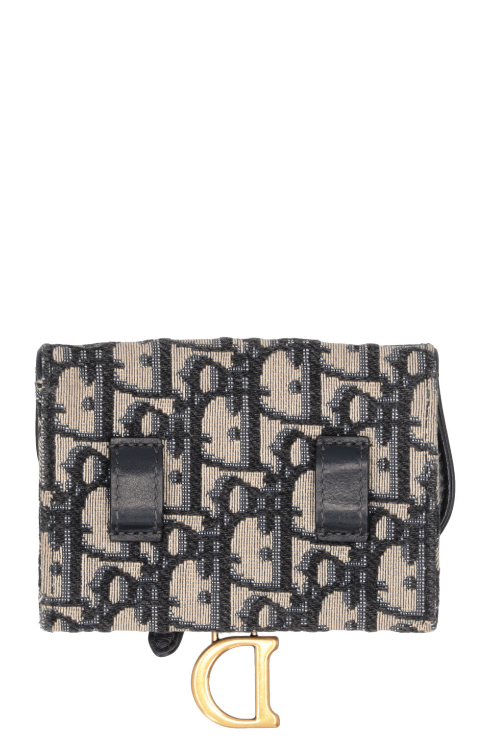 CHRISTIAN DIOR Nano Saddle Crossbody Belt Pouch Oblique