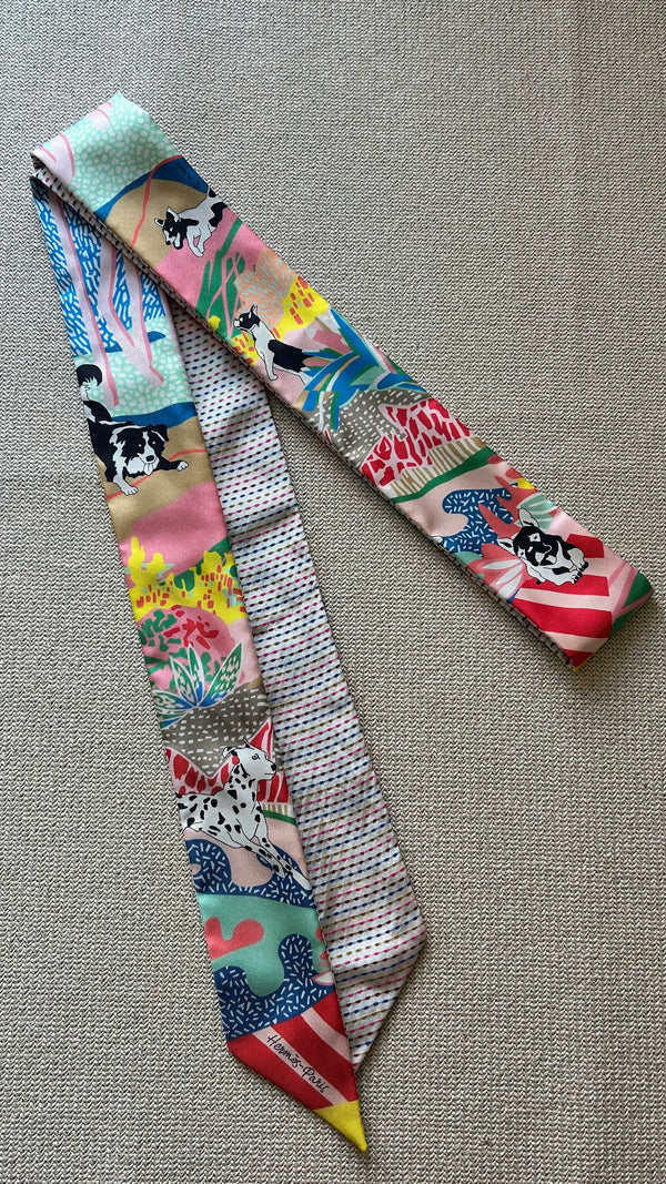 HERMÈS Long Twins Pointille En Liberte Twilly Multicolor Silk