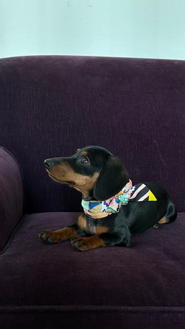 HERMÈS Dog Twilly Silk Multicolor