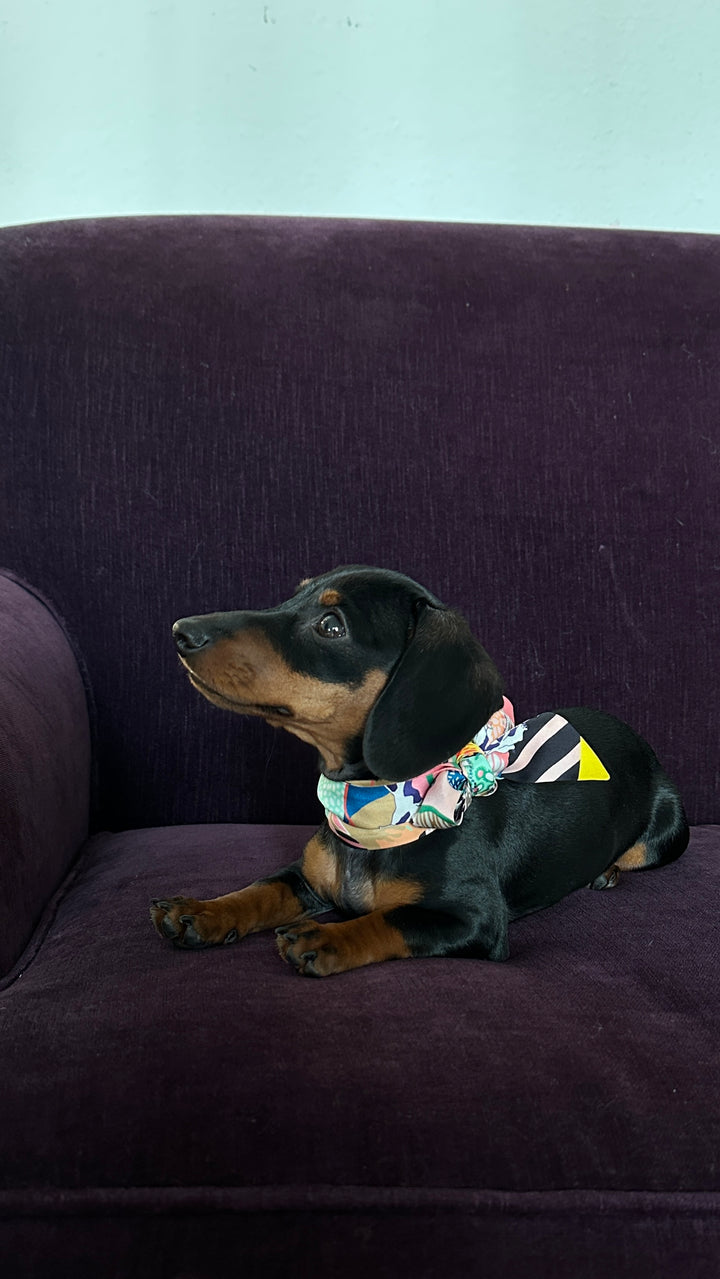 HERMÈS Dog Twilly Silk Multicolor