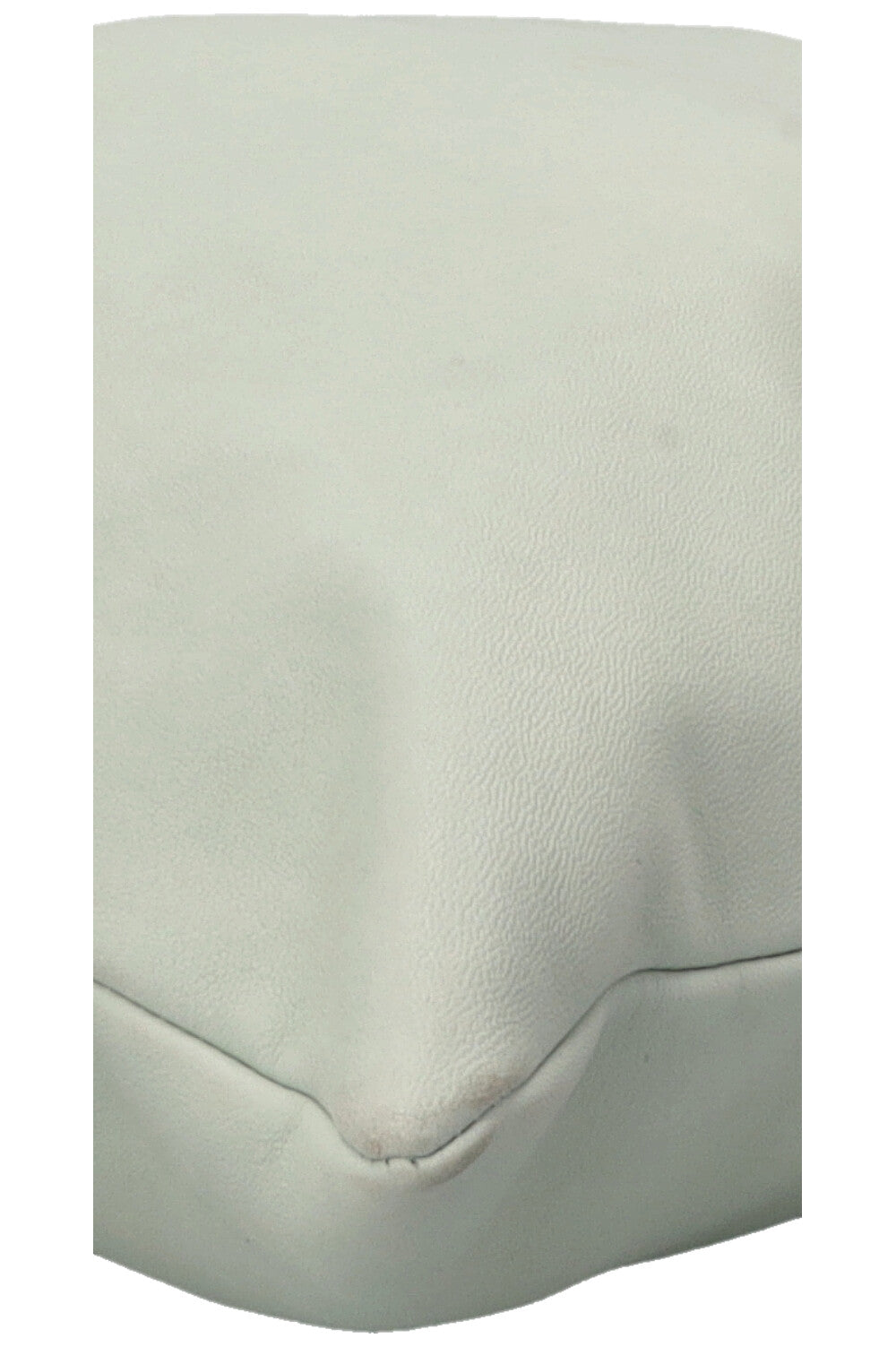 LOEWE Vertical Fringe Tote Mint