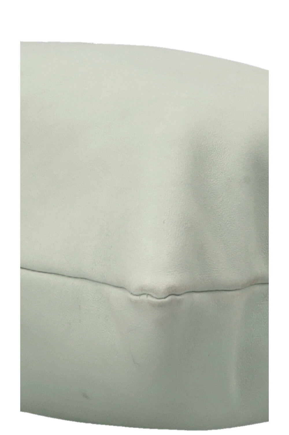 LOEWE Vertical Fringe Tote Mint