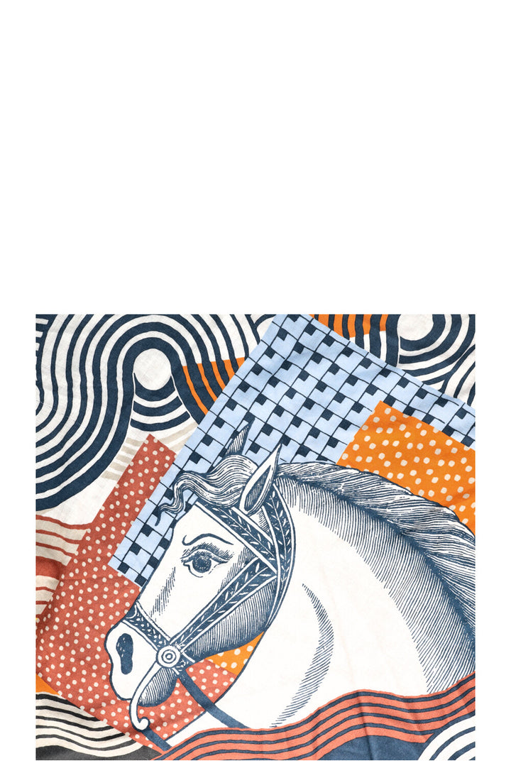 Écharpe Triangle Géant HERMÈS Schwalbeig Cachemire