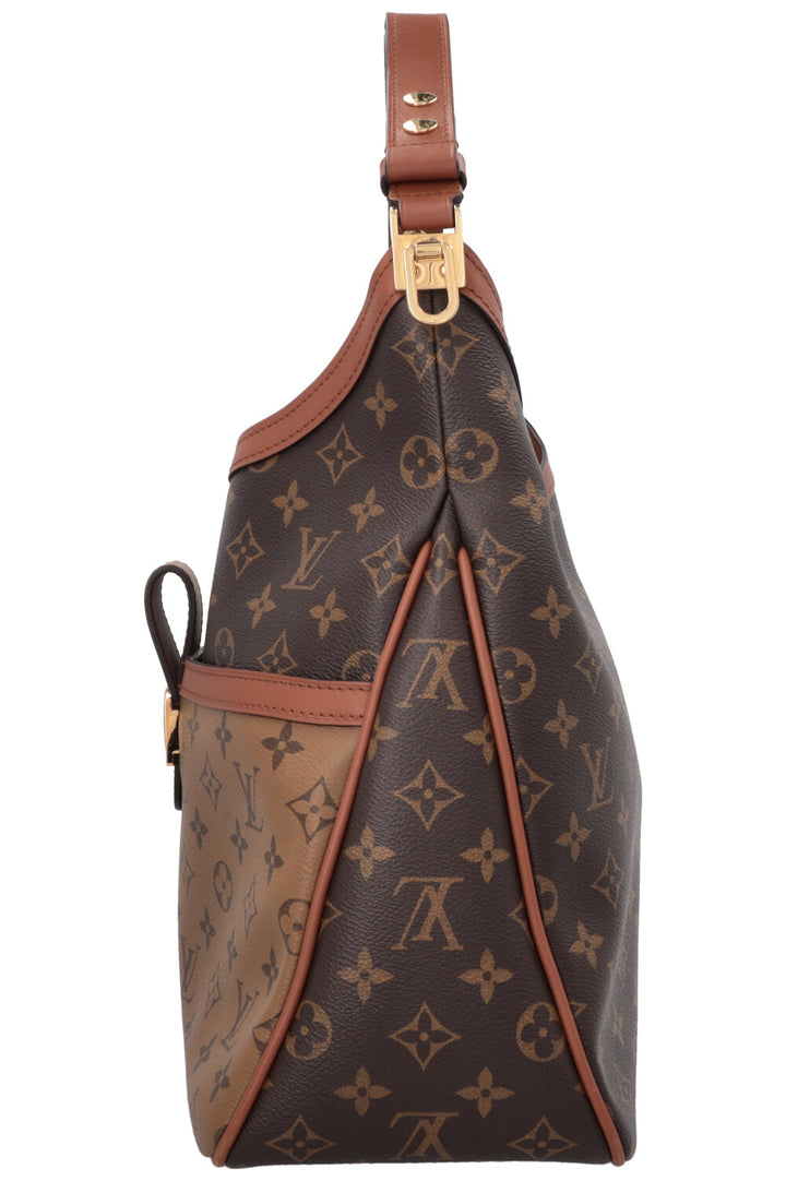 LOUIS VUITTON  Dauphine Hobo MM MNG Bag