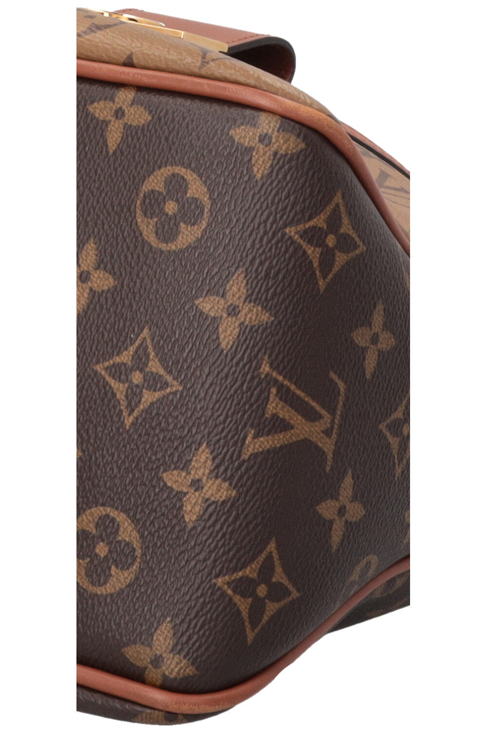 LOUIS VUITTON  Dauphine Hobo MM MNG Bag