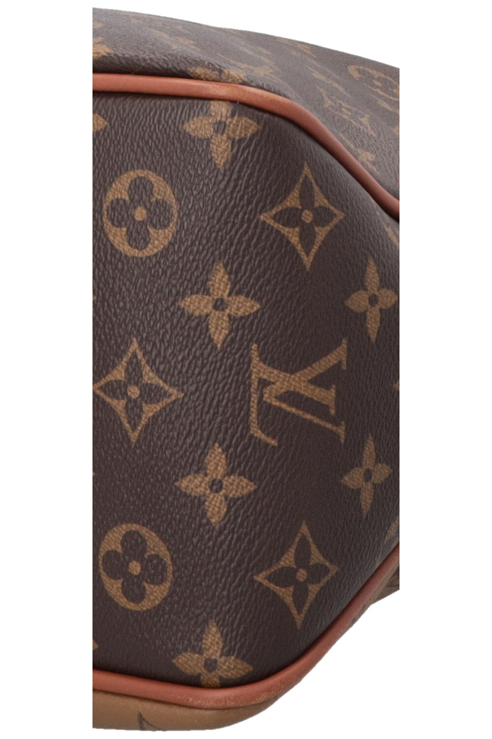 LOUIS VUITTON  Dauphine Hobo MM MNG Bag