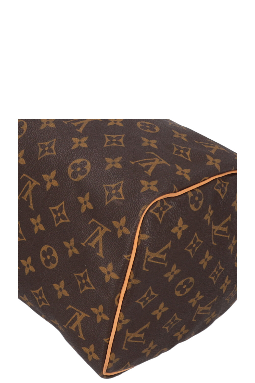 LOUIS VUITTON Speedy 30 MNG Canvas