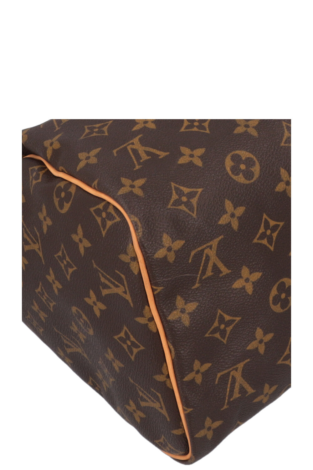 LOUIS VUITTON Speedy 30 MNG Canvas