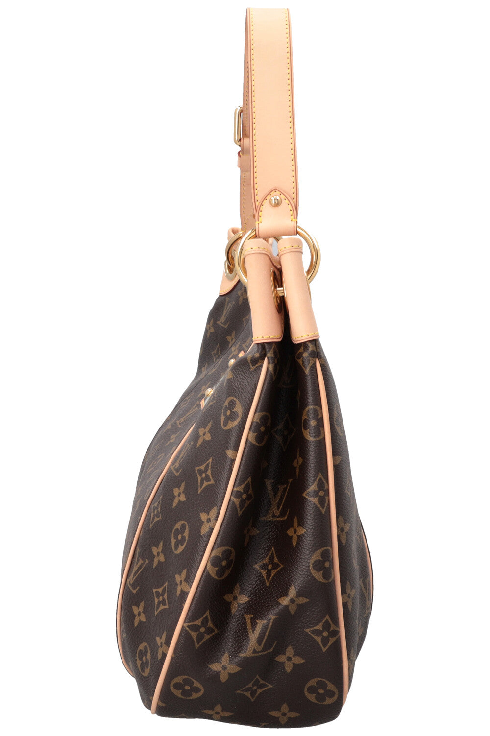LOUIS VUITTON Galleria PM Hobo Bag MNG Canvas