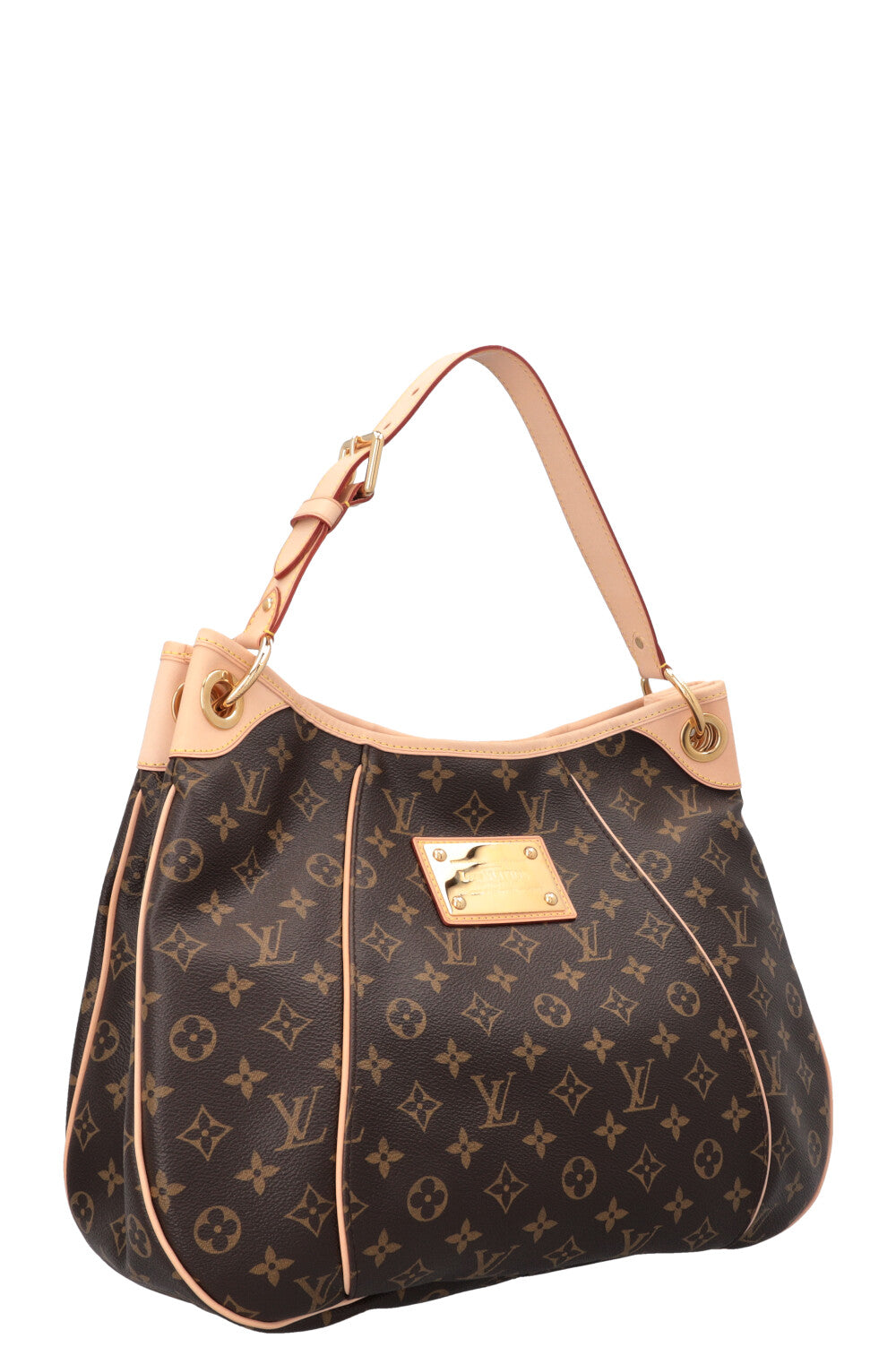 LOUIS VUITTON Galleria PM Hobo Bag MNG Canvas