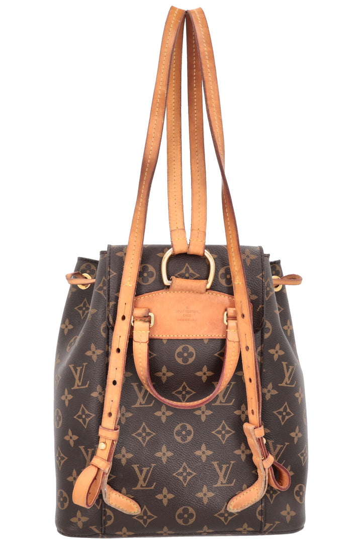 LOUIS VUITTON Montsouris PM Backpack MNG