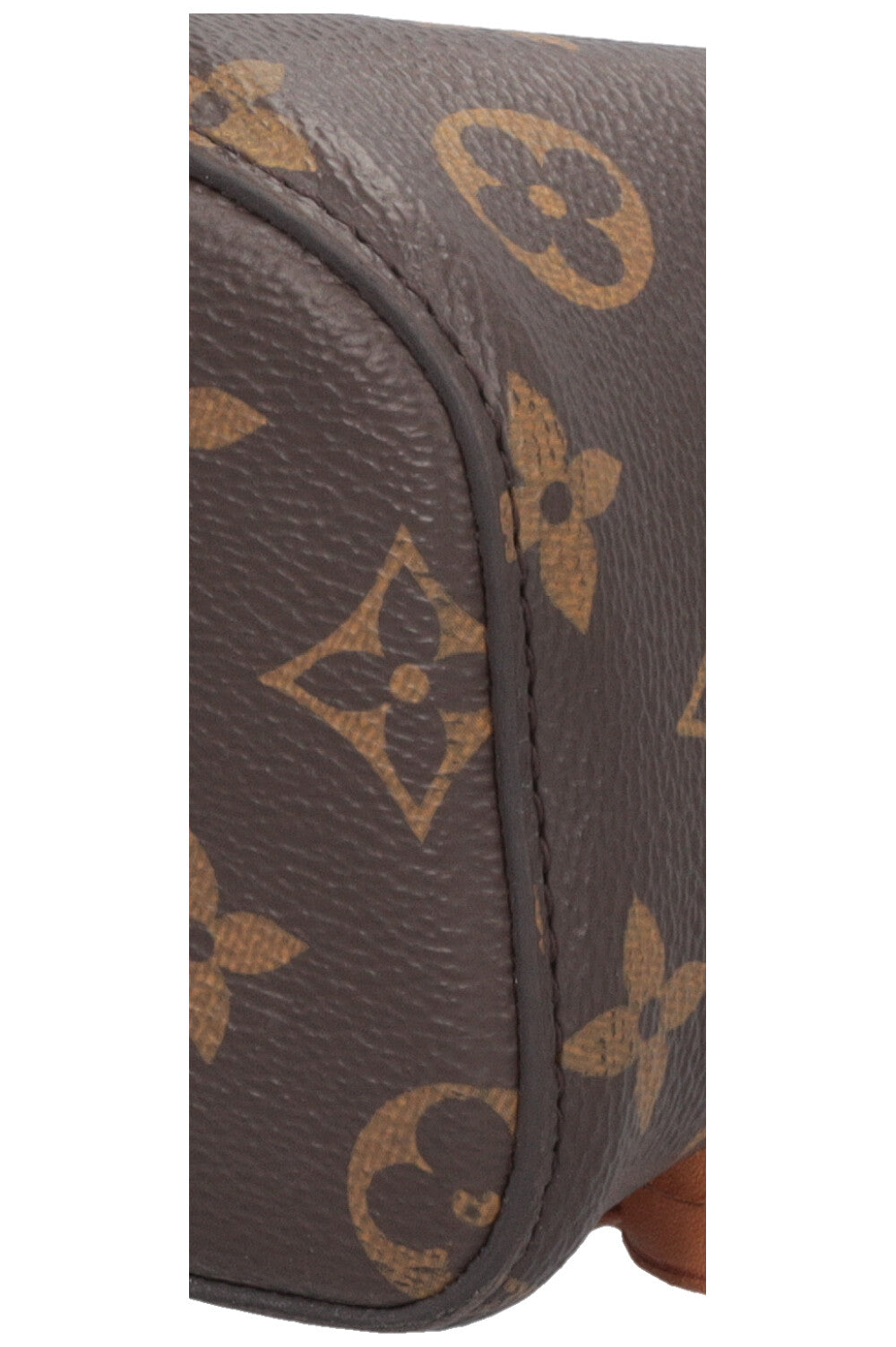 LOUIS VUITTON Montsouris PM Backpack MNG