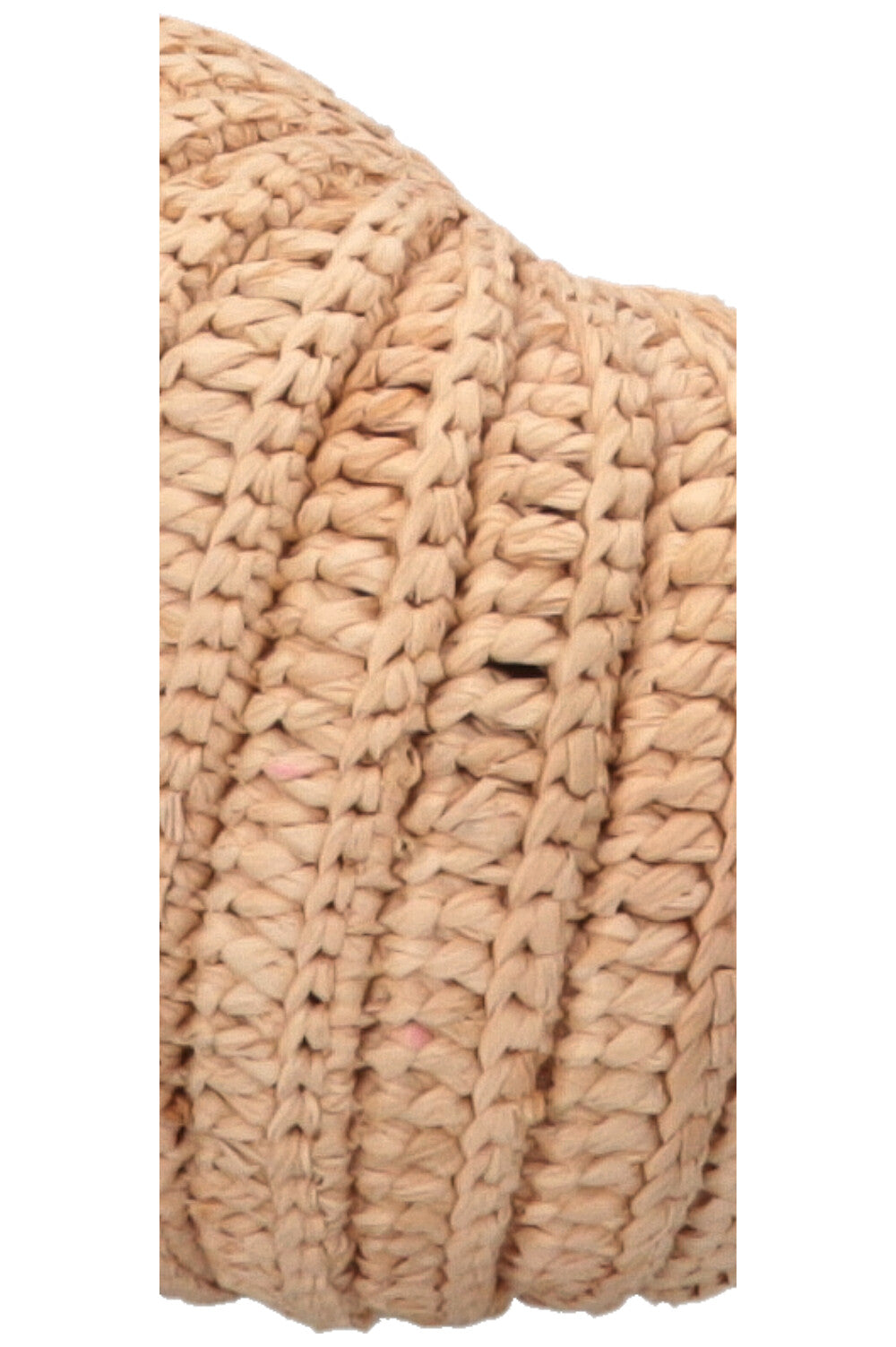LOEWE Paulas Ibiza Shell Moon Raffia Crossbody Bag