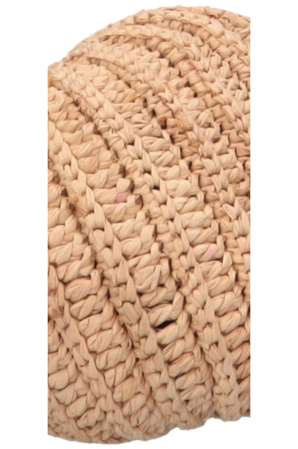 LOEWE Paulas Ibiza Shell Moon Raffia Crossbody Bag