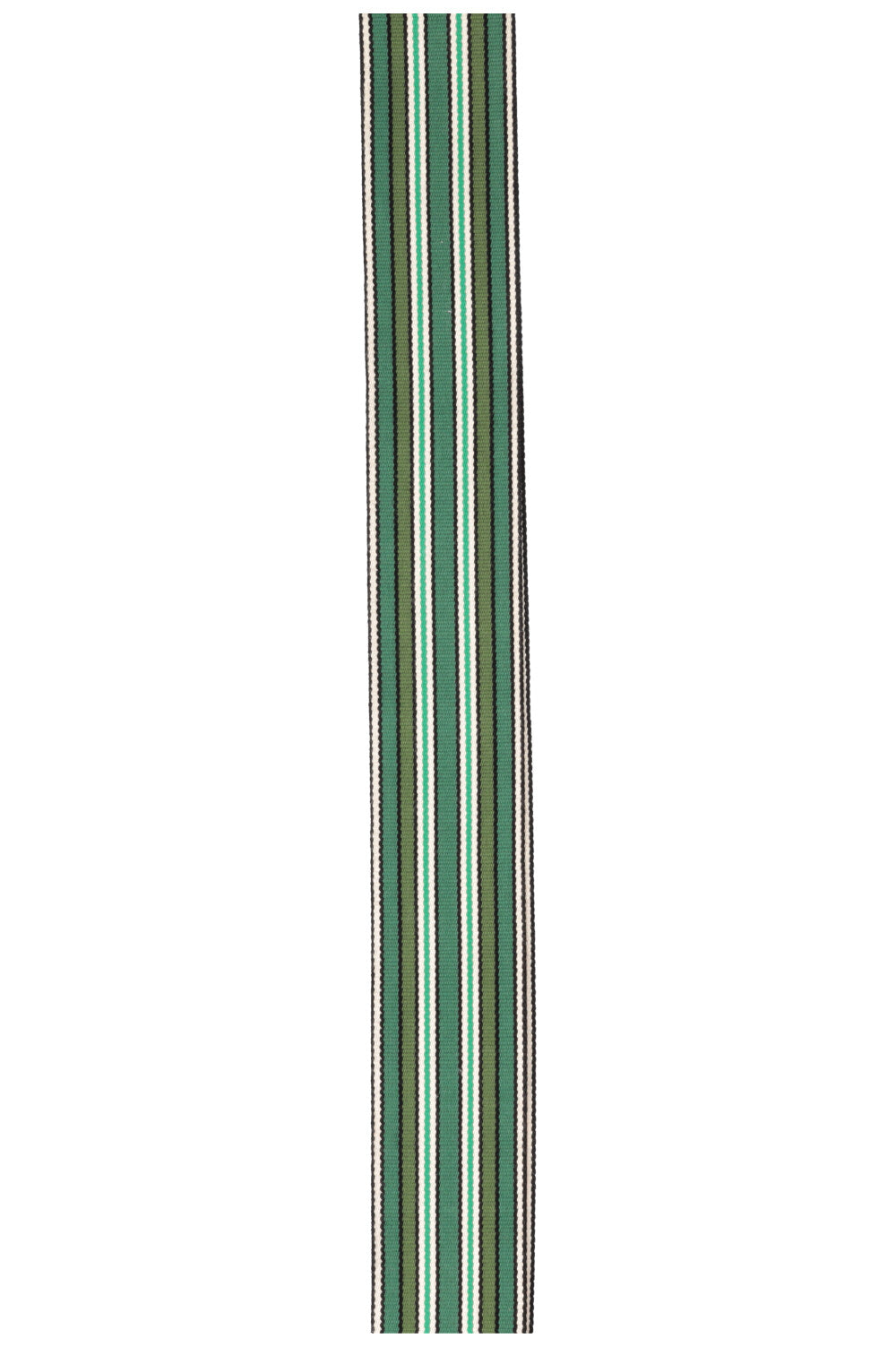 LORO PIANA Striped Canvas Strap Green