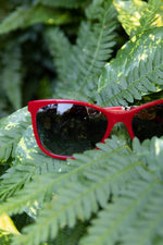 CHANEL Sunglasses Red 5260Q