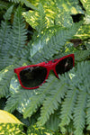 CHANEL Sunglasses Red 5260Q