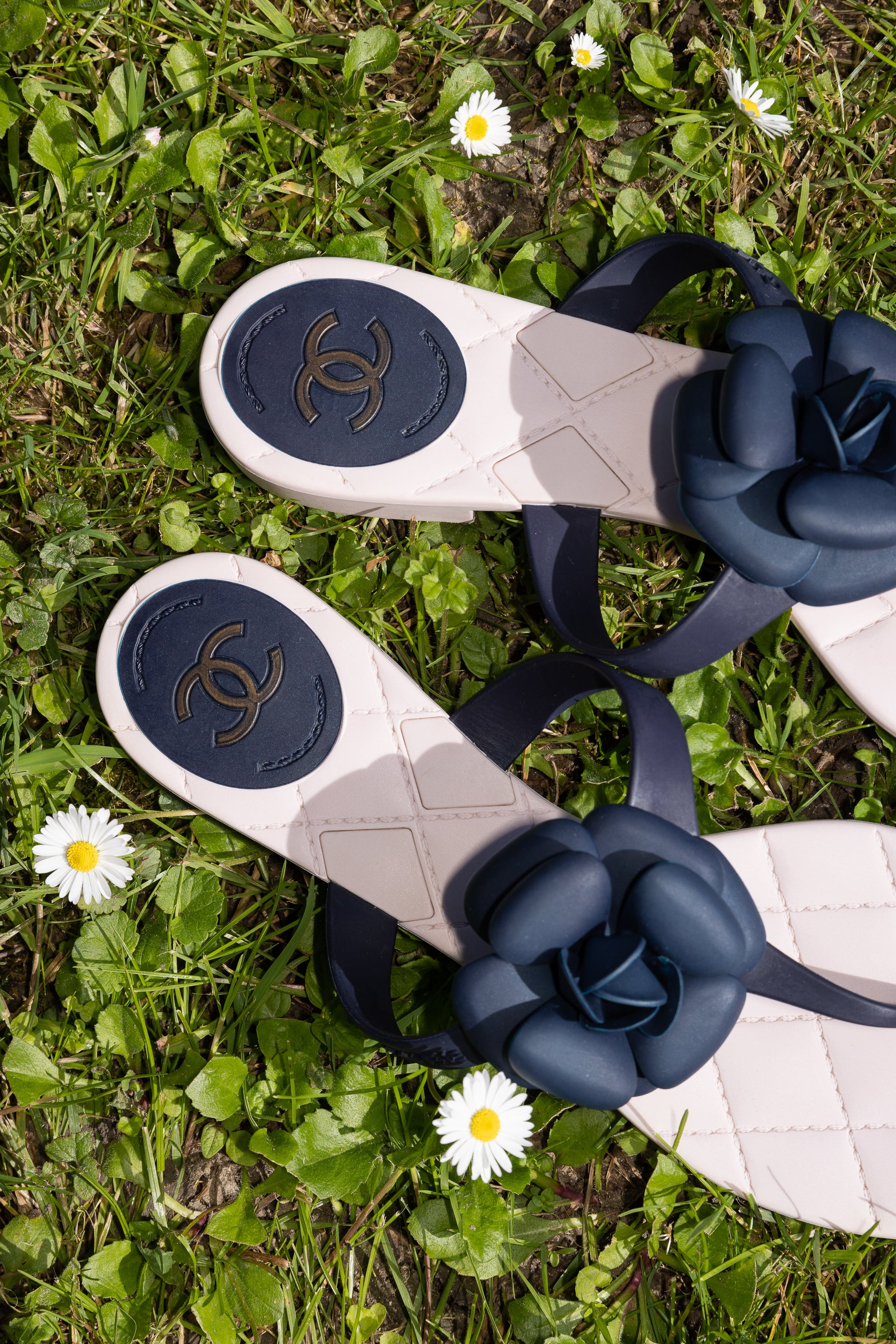 Chanel Camellia Shoes Switzerland SAVE 59  motorhomevoyagercouk