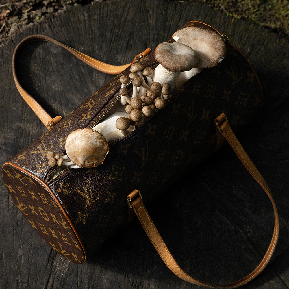 Reawake Fashion Treasures – REAWAKE