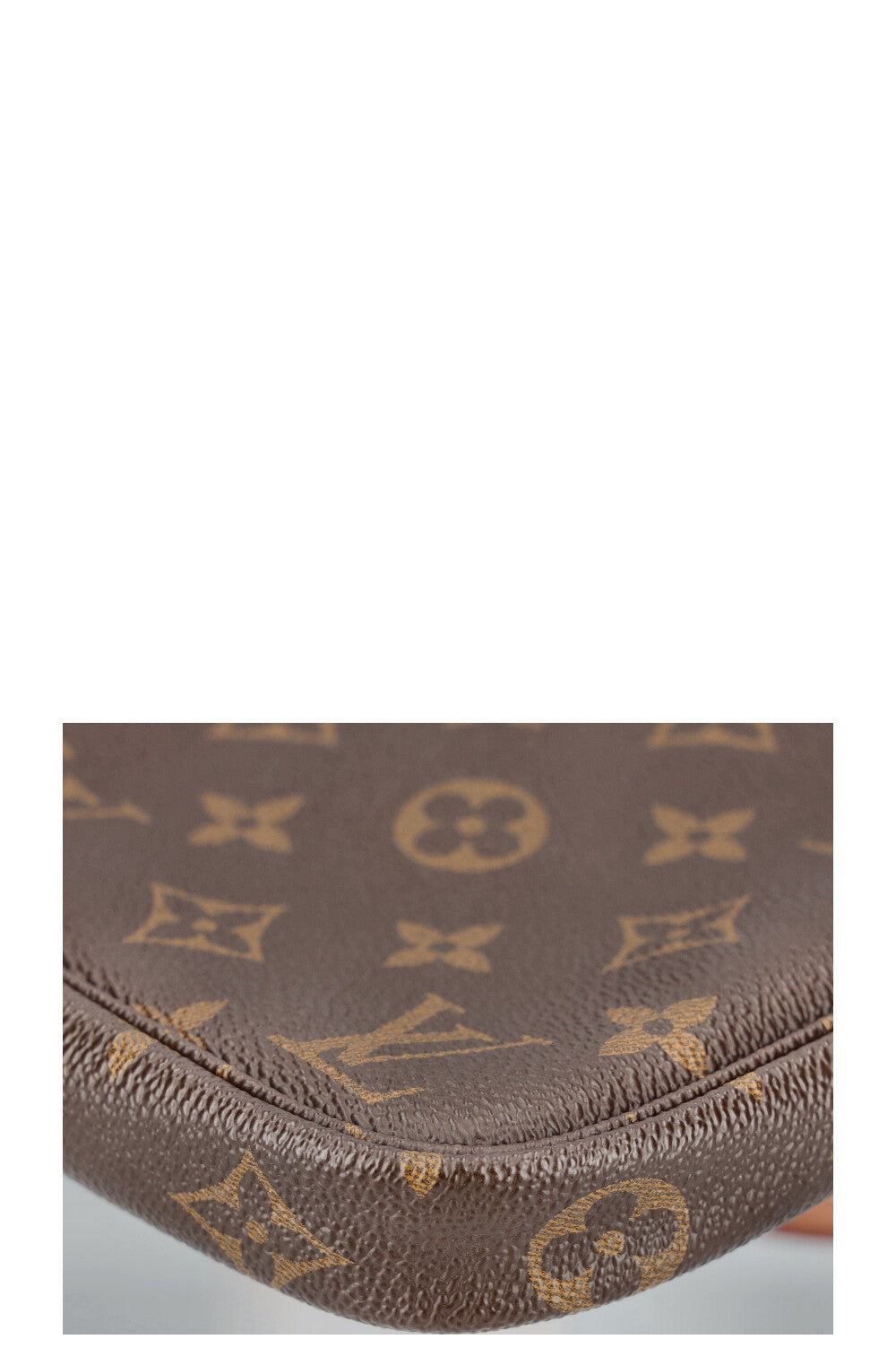 LOUIS VUITTON Pochette Accessoires MNG