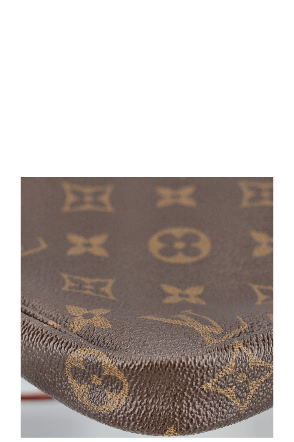 LOUIS VUITTON Pochette Accessoires MNG