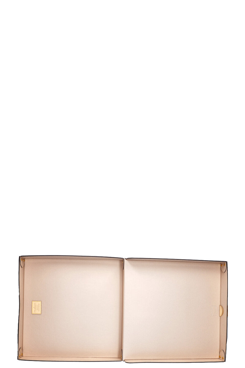 LOUIS VUITTON Vinyl Box MNG