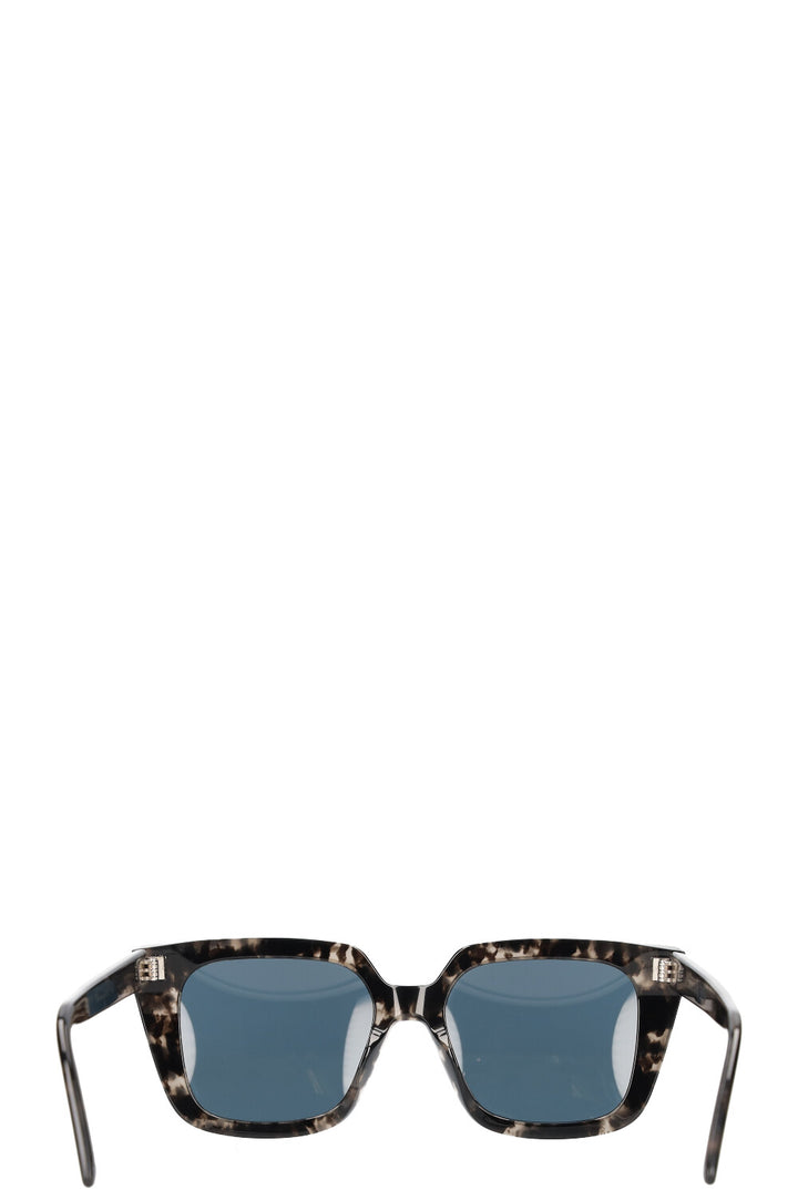 CHRISTIAN DIOR Midnight Sunglasses S1I