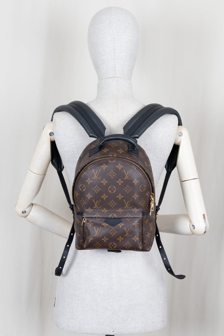 LOUIS VUITTON Palm Springs Backpack PM MNG Canvas