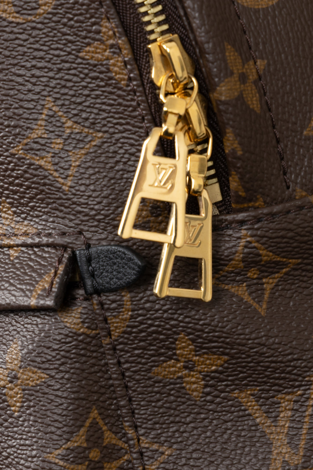 LOUIS VUITTON Palm Springs Backpack PM MNG Canvas