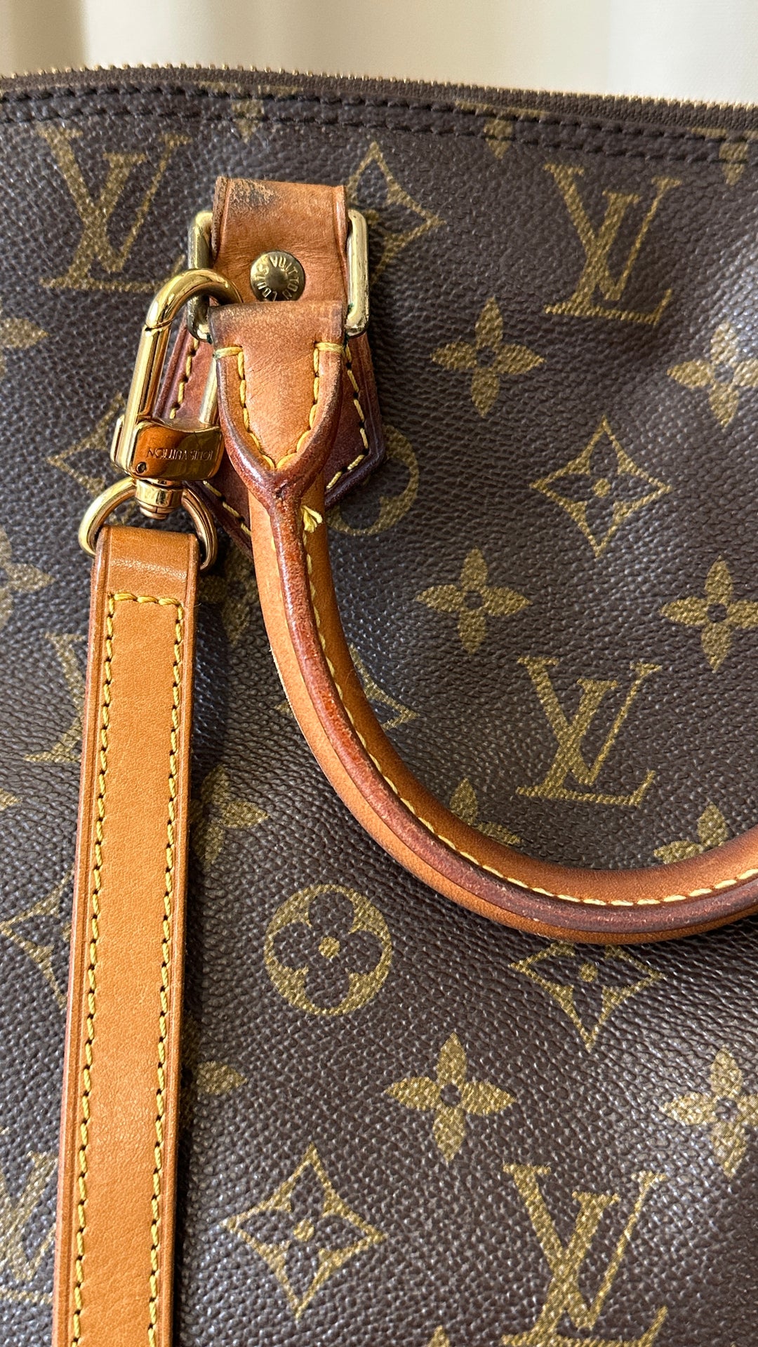 LOUIS VUITTON Alma PM MNG Canvas