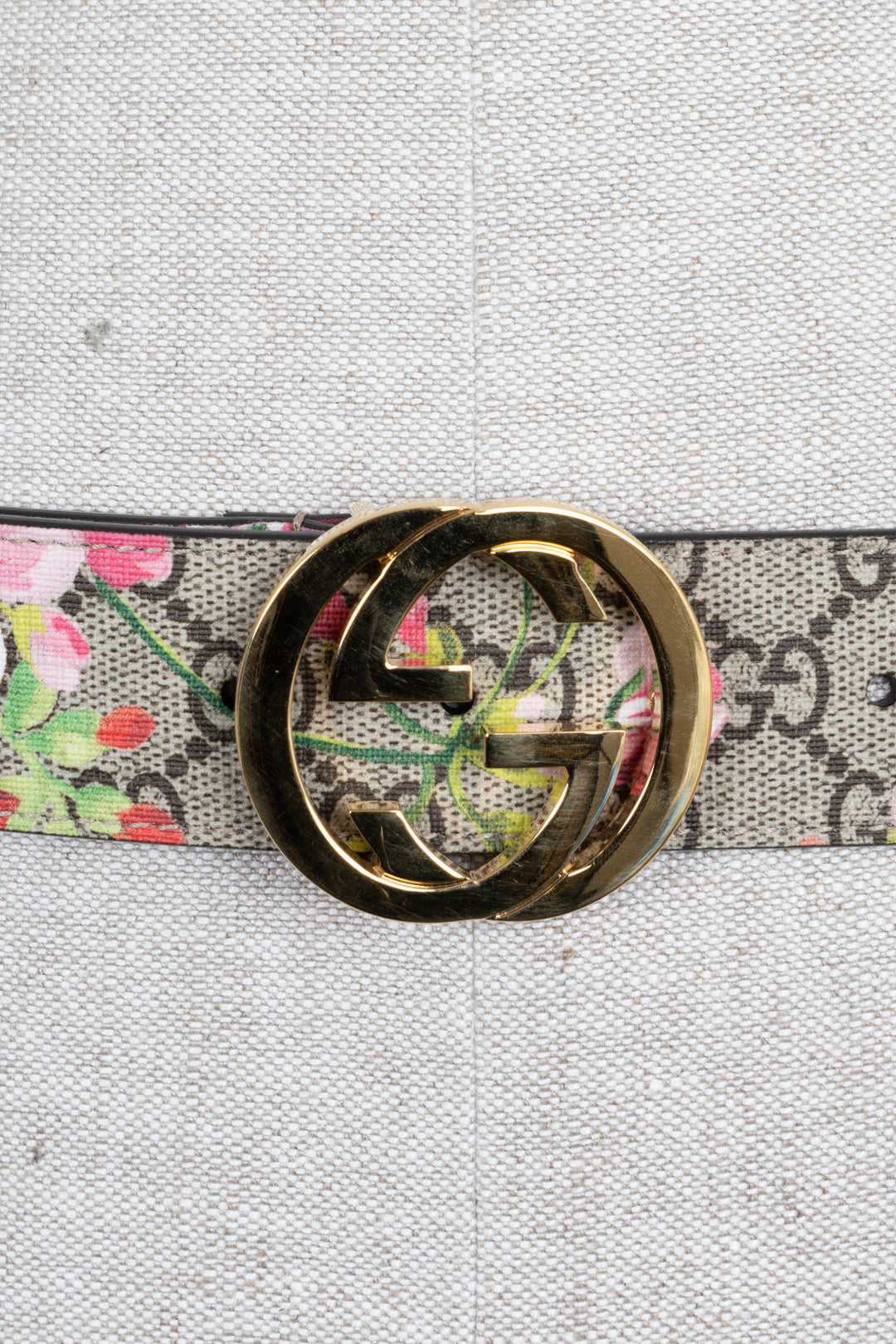 GUCCI Bloom Print GG Belt Multicolor