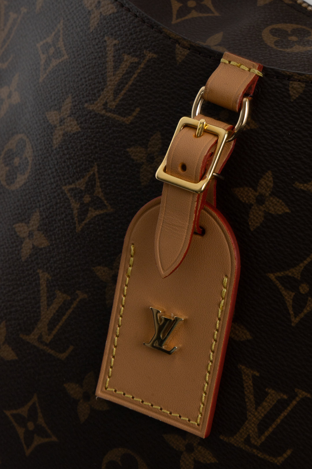 LOUIS VUITTON Odeon NM Bag MNG