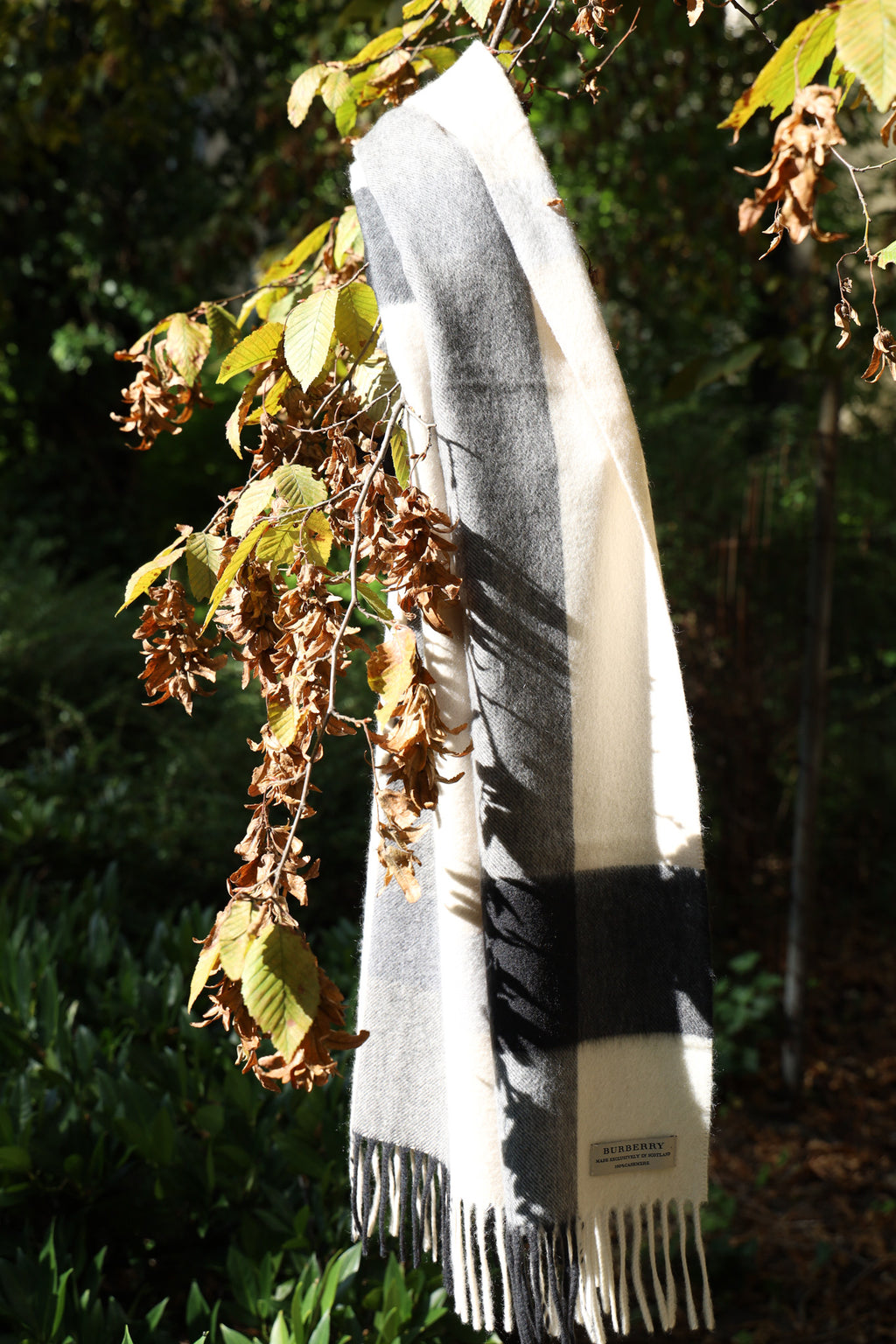 BURBERRY Scarf Cashmere Grey White