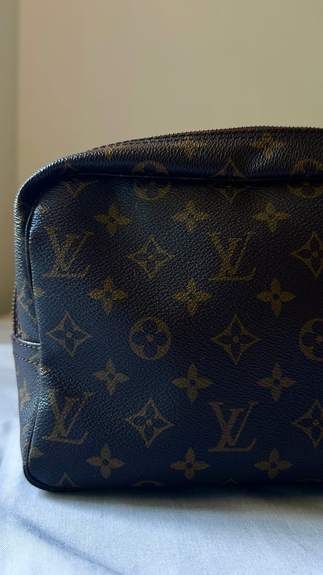 LOUIS VUITTON Cosmetic Pouch MNG Canvas