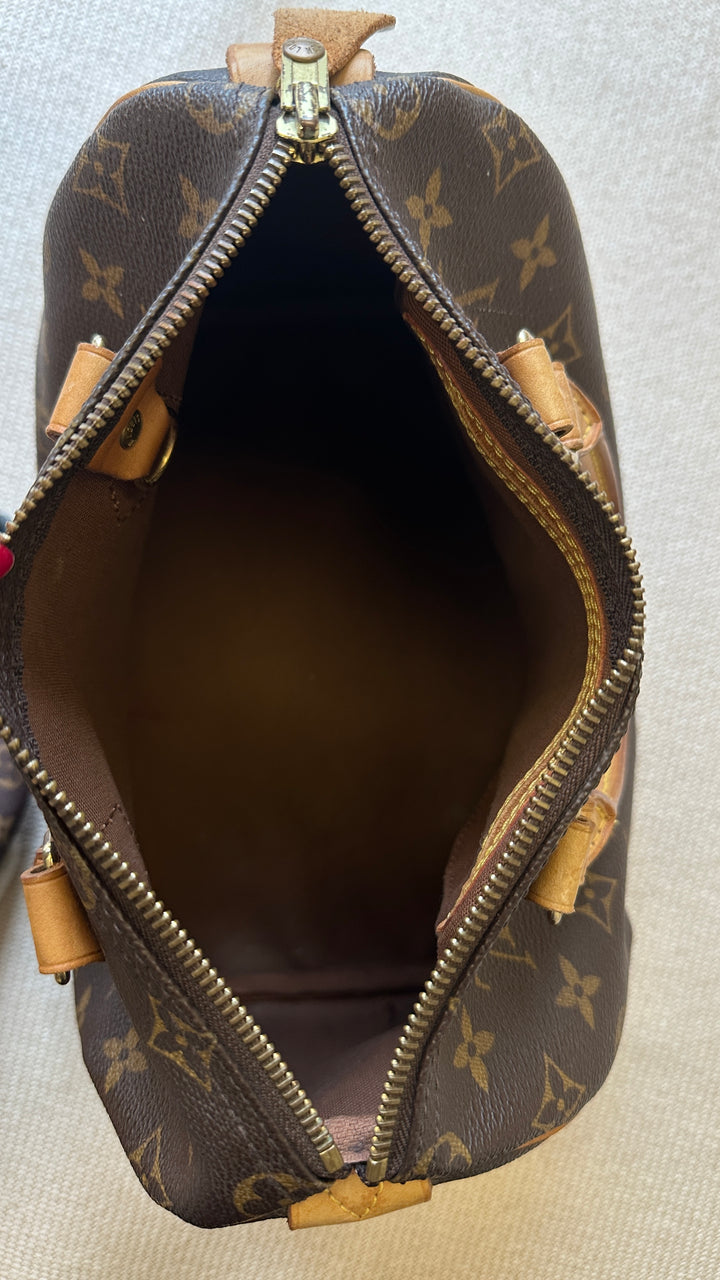 LOUIS VUITTON Speedy 25 Hand Bag MNG Canvas