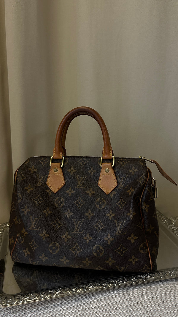 LOUIS VUITTON Speedy 25 Hand Bag MNG Canvas