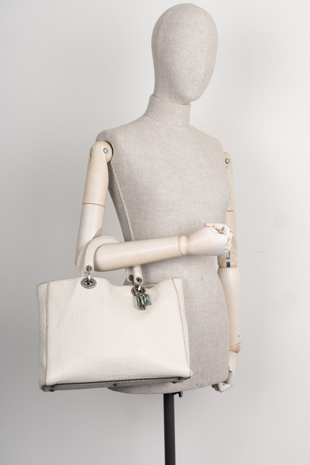 CHRISTIAN DIOR Lady Dior Canyon Bag