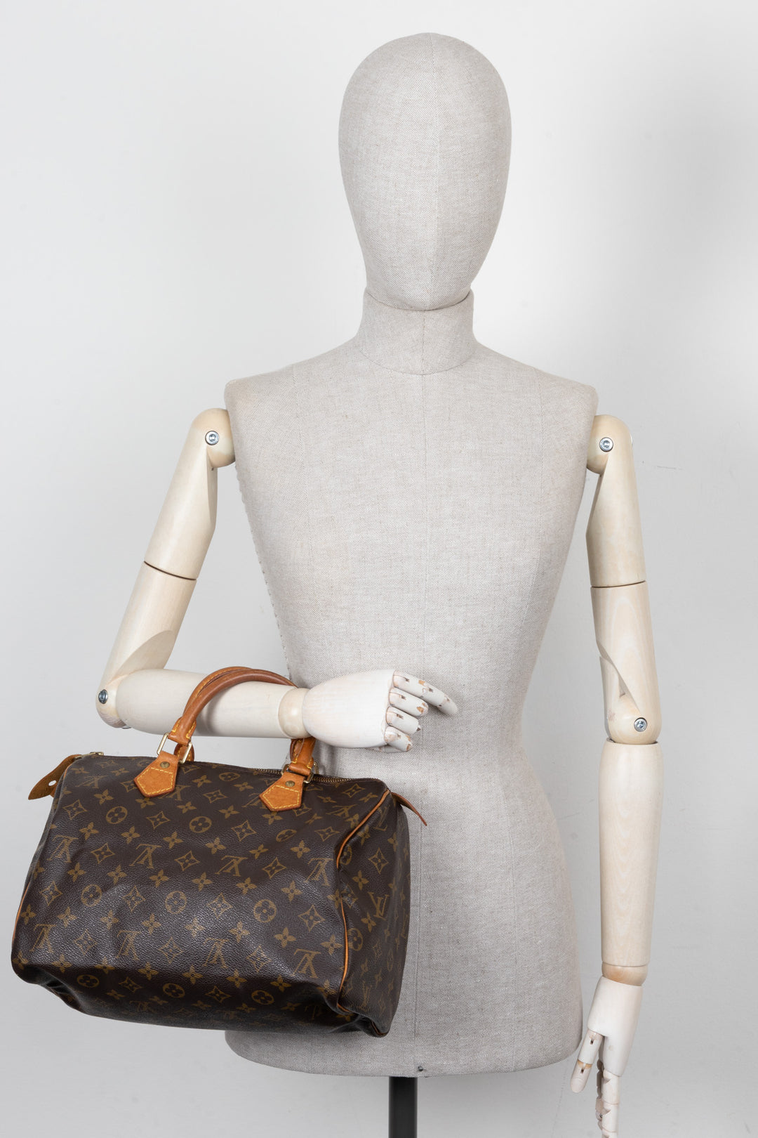 LOUIS VUITTON Speedy30 MNG Canvas