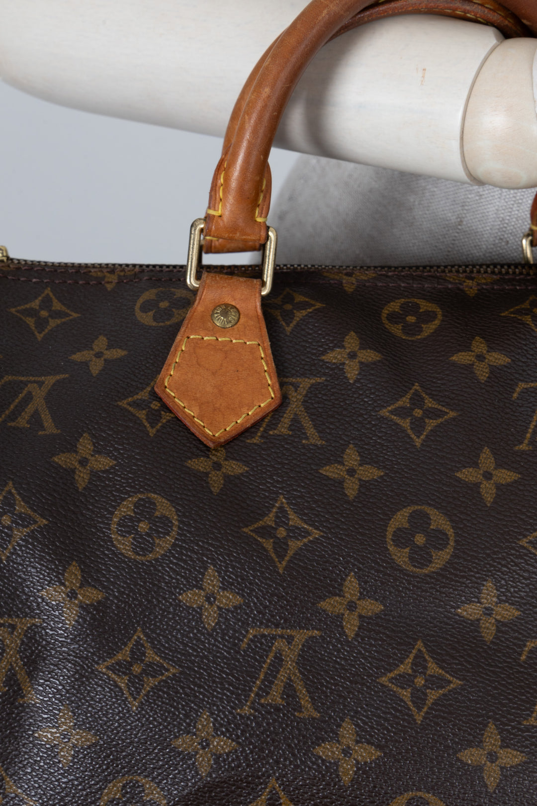 LOUIS VUITTON Speedy30 MNG Canvas