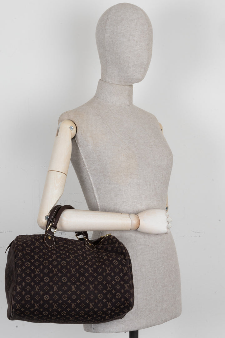 LOUIS VUITTON Mini Lin 30 MNG Idylle Canvas Brown