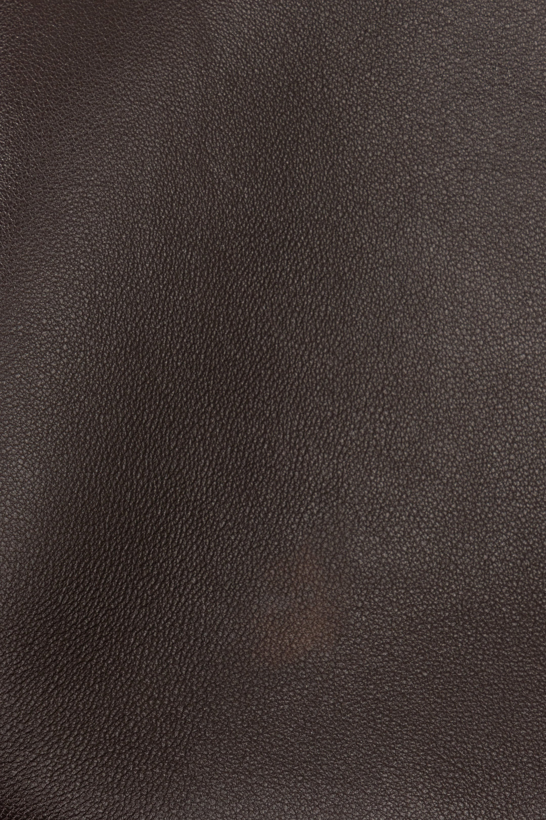 THE ROW Astra Shoulder Bag Brown