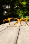 GUCCI Sunglasses TGL11A082N