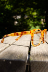 GUCCI Sunglasses TGL11A082N