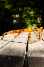 GUCCI Sunglasses TGL11A082N