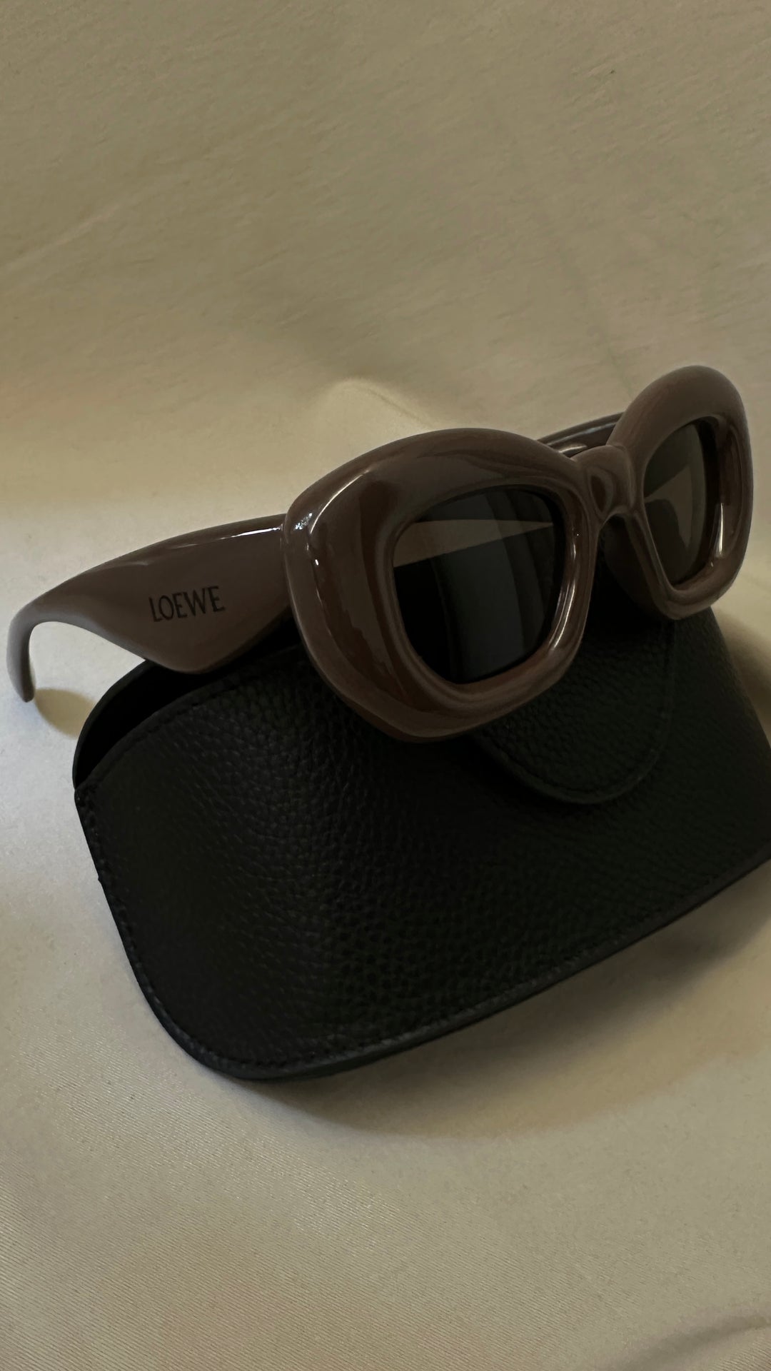 LOEWE Sunglasses Brown LW40117I