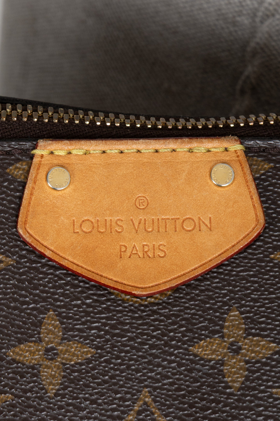 LOUIS VUITTON Turenne MM Bag MNG Canvas