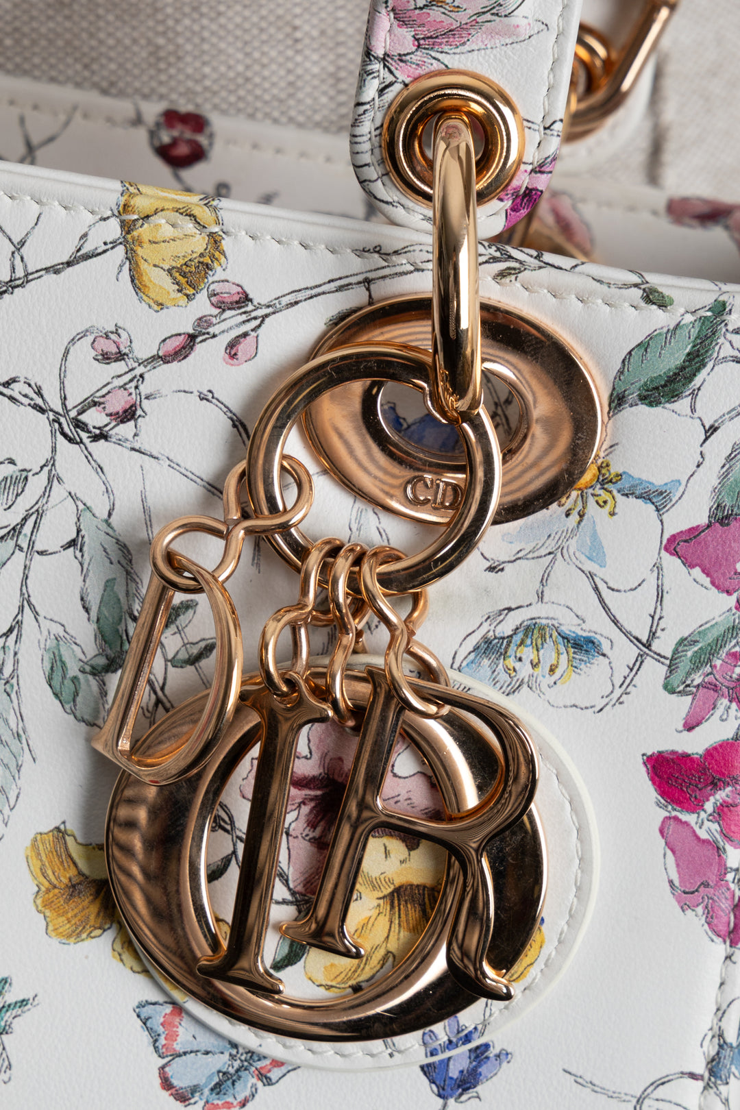 CHRISTIAN DIOR Florilegio Small Lady Dior White